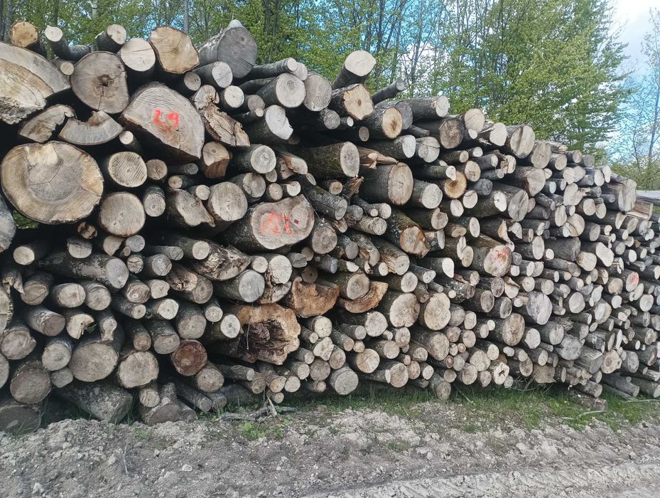 Drewno  opałowe kominkowe