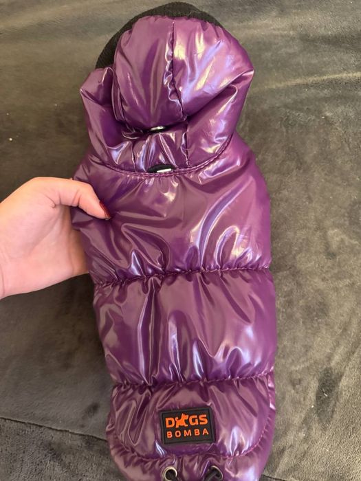 Набор речей для цуценя або маленької породи собак