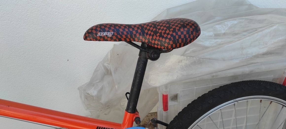 Bicicleta junior