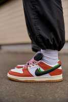 Жіночі кросівки  Frame Skate x Nike SB Dunk Low Habibi