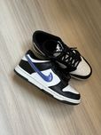 Nike dunk low next nature
