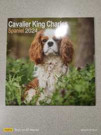 Kalendarz na 2024 Cavalier King Charles Spaniel