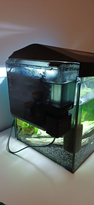 Akwarium z rybami i pełnym wyposażeniem