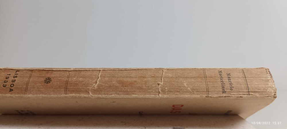 Livro PA-2 - Maurício Maeterlick  - A vida das térmicas