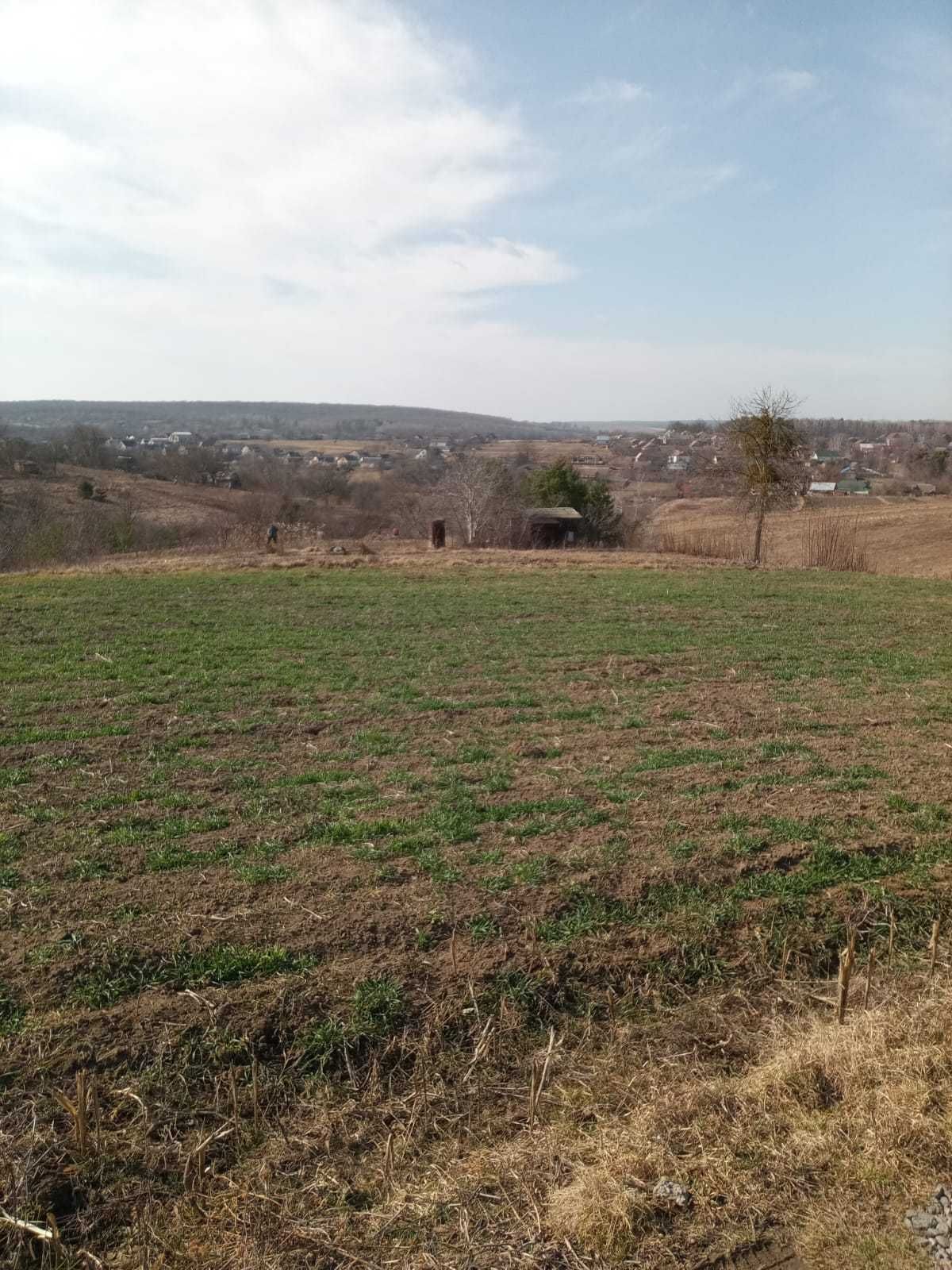 земельна ділянка для будівництва, поряд з річкою П.Буг, та лісом
