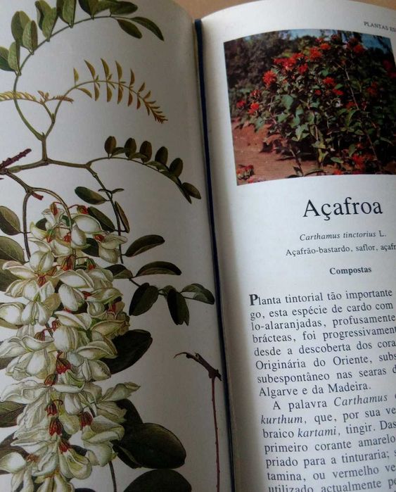 "Segredos e Virtudes das PLANTAS MEDICINAIS"