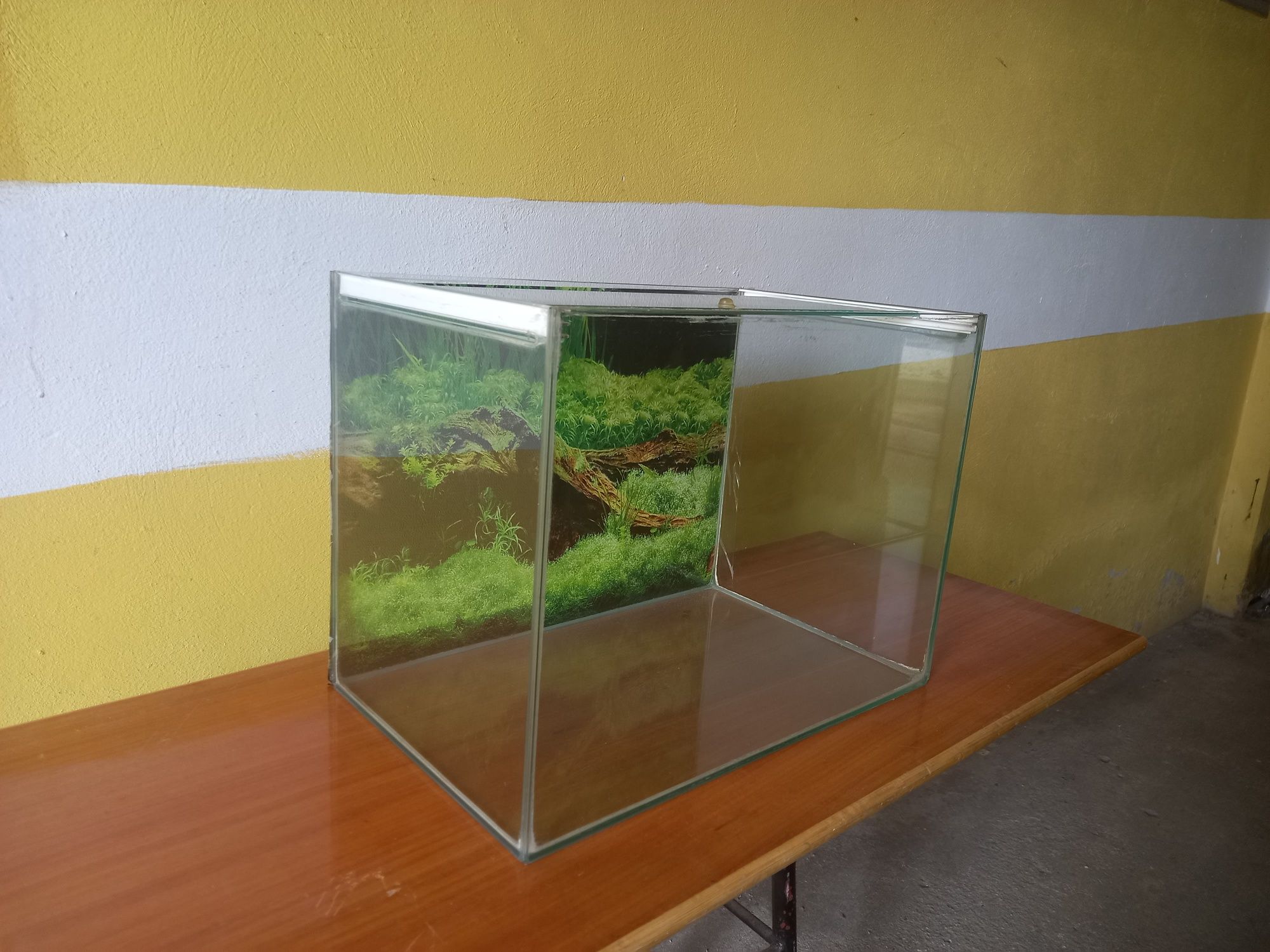 Aquários para peixes