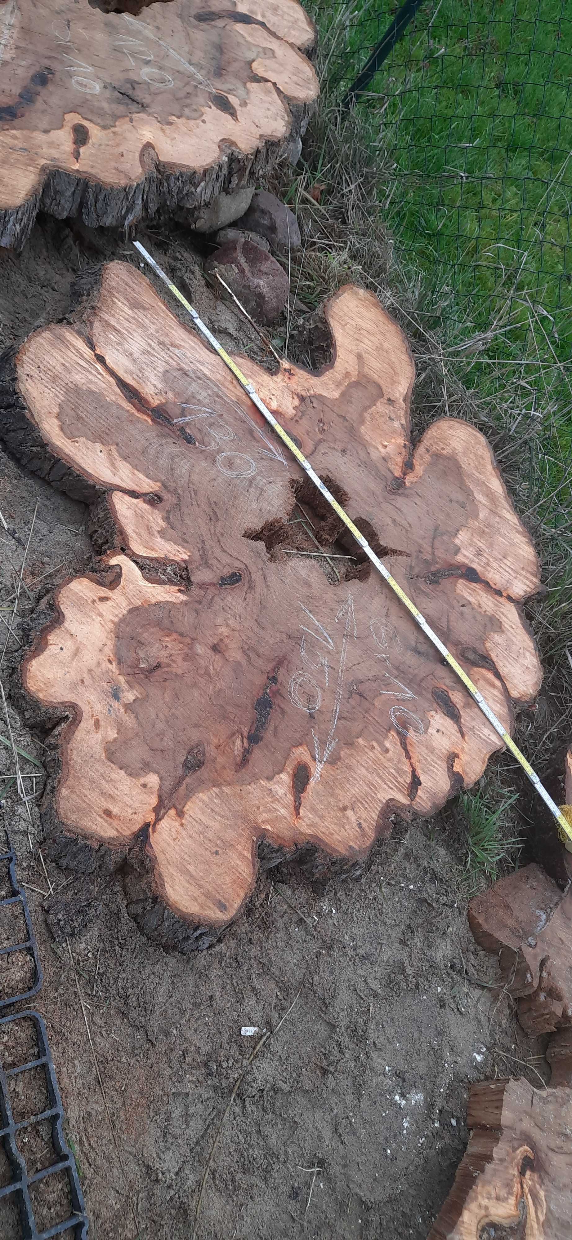 Plaster na stół wiąz
