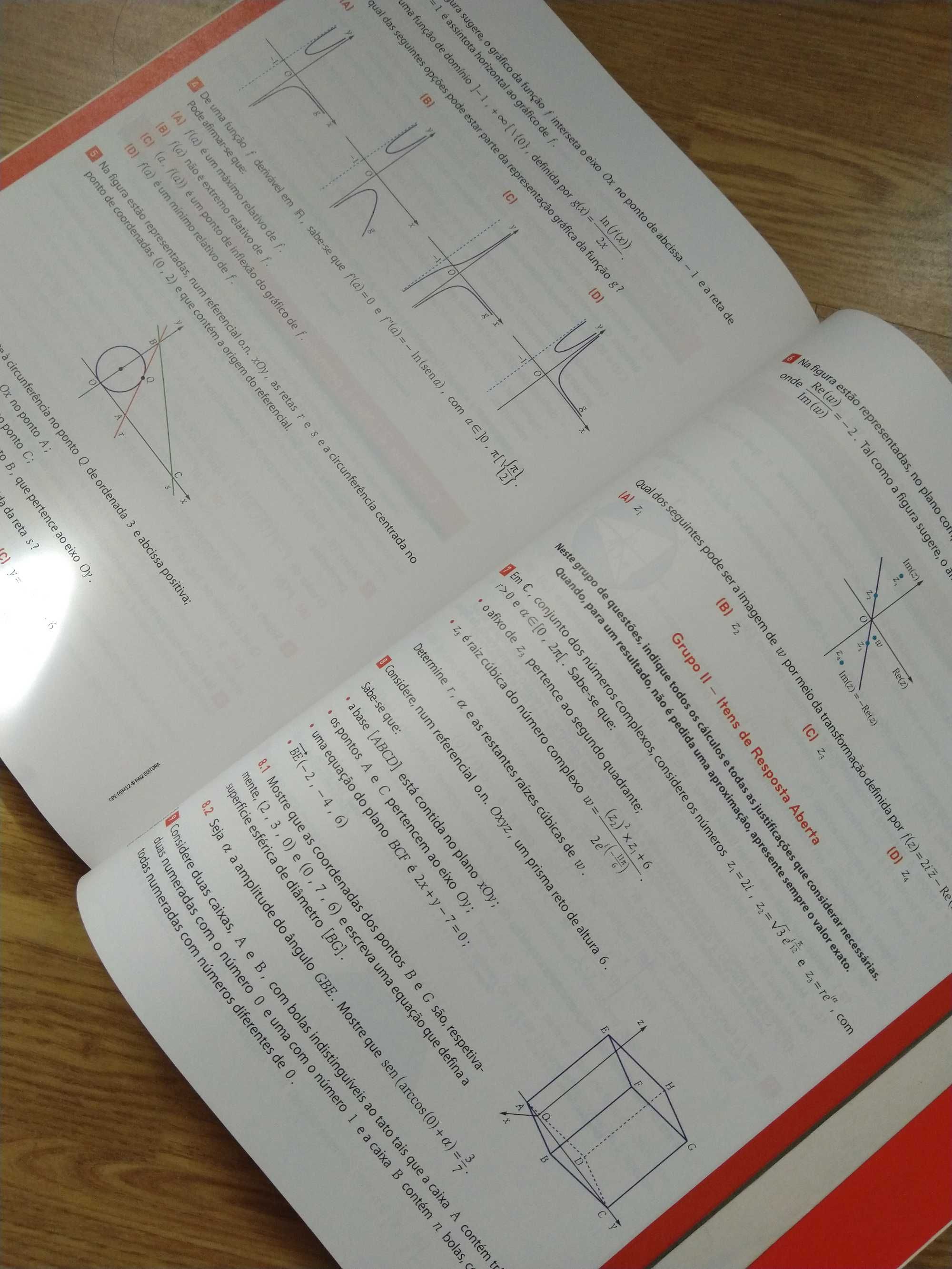 Preparar o Exame 2019: Matemática A - 12º ano