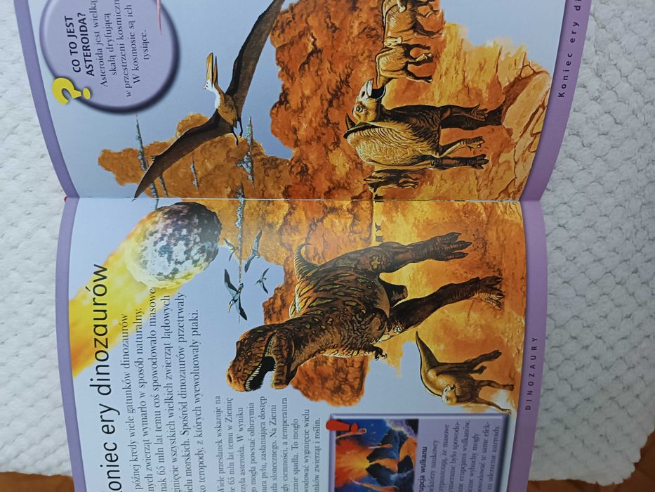 Wszystko co warto wiedzieć