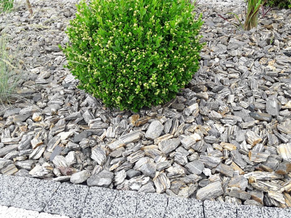 Kora kamienna, gnejs, kamień ogrodowy, kamień kora kamień ozdobny