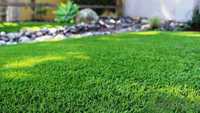 Газон для лінивих Ліліпут газонна трава насіння газонної трави газон
