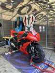 Yamaha R6 RJ11/15 Ohlins Full Arrow Tor Torówka