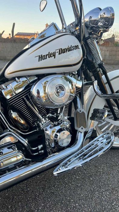 Harley Davidson Softail Springer Chican Style