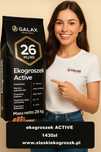 Ekogroszek ACTIVE 26Mj/kg, w ofercie Koks, Pellet, Orzech
