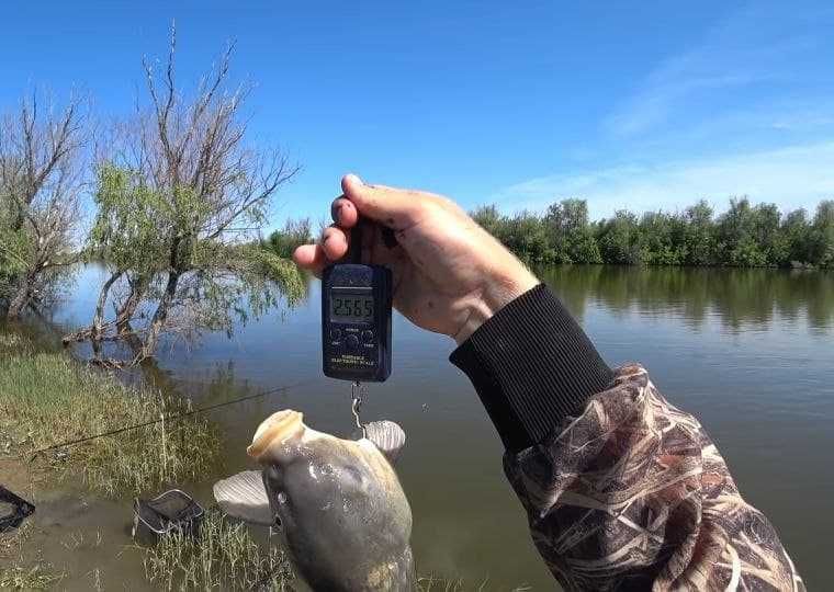 FISH HUNGRY активатор клева голодная рыба прикормка Фиш Хангри