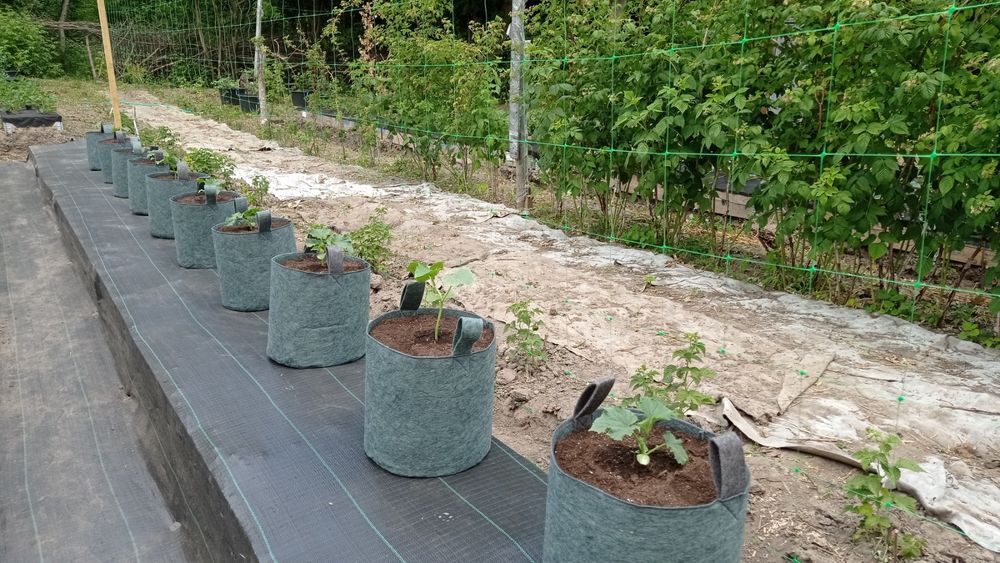 Grow bag, гроубег, контейнер для рослин