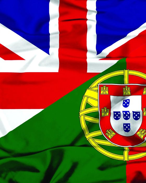 Traduções e/ou revisão Inglês - Português