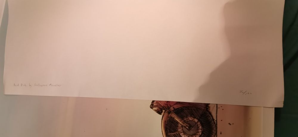 Wild Ride, by Guilherme Moueler, poster impressão numerada