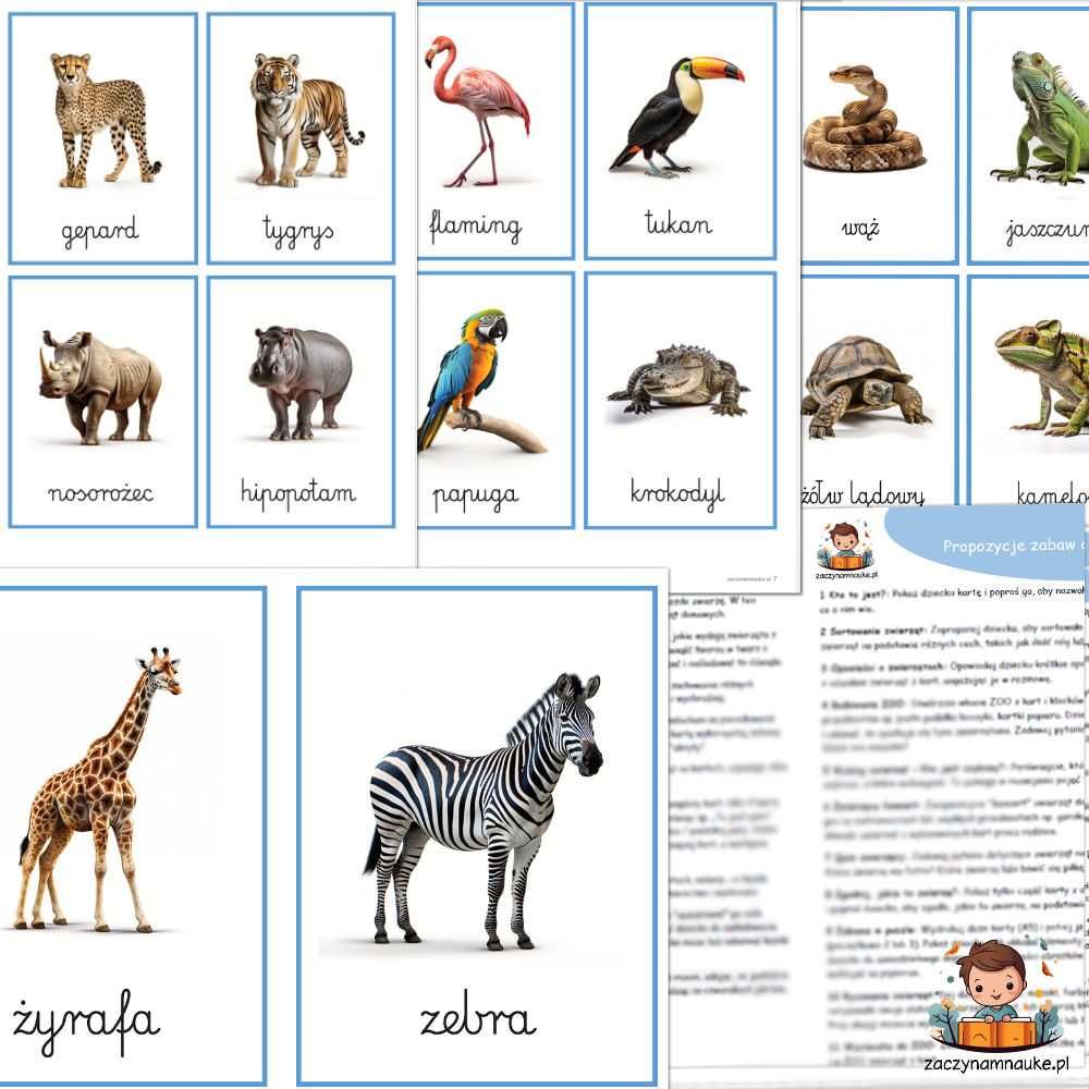 Karty Obrazkowe Zwierzęta w ZOO Plansze Edukacyjne Montessori DO DRUKU