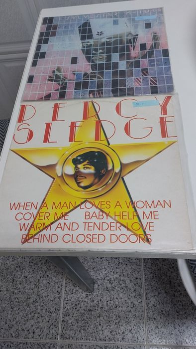 Lote de álbuns de vinil . Todos em muito bom estado de conservação .