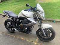 Yamaha XJ6N 2010