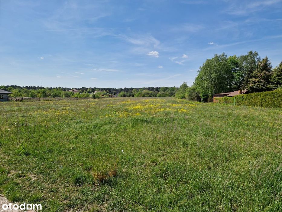 Działka 4713 m² , Lesznowola ul Żytnia