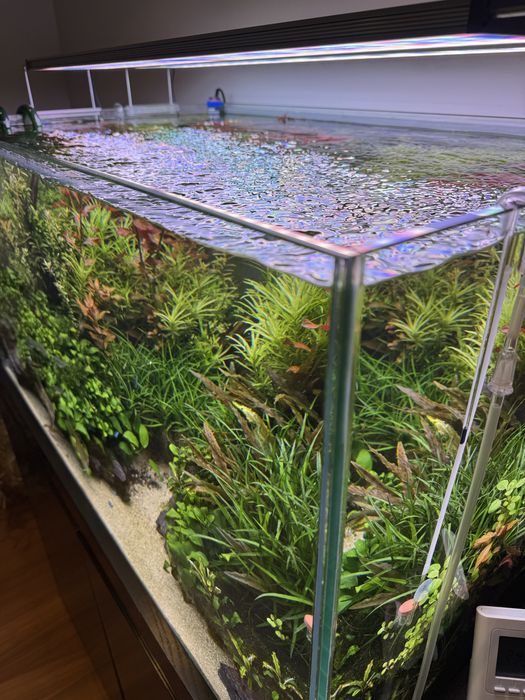 Aquario 100x60x50
