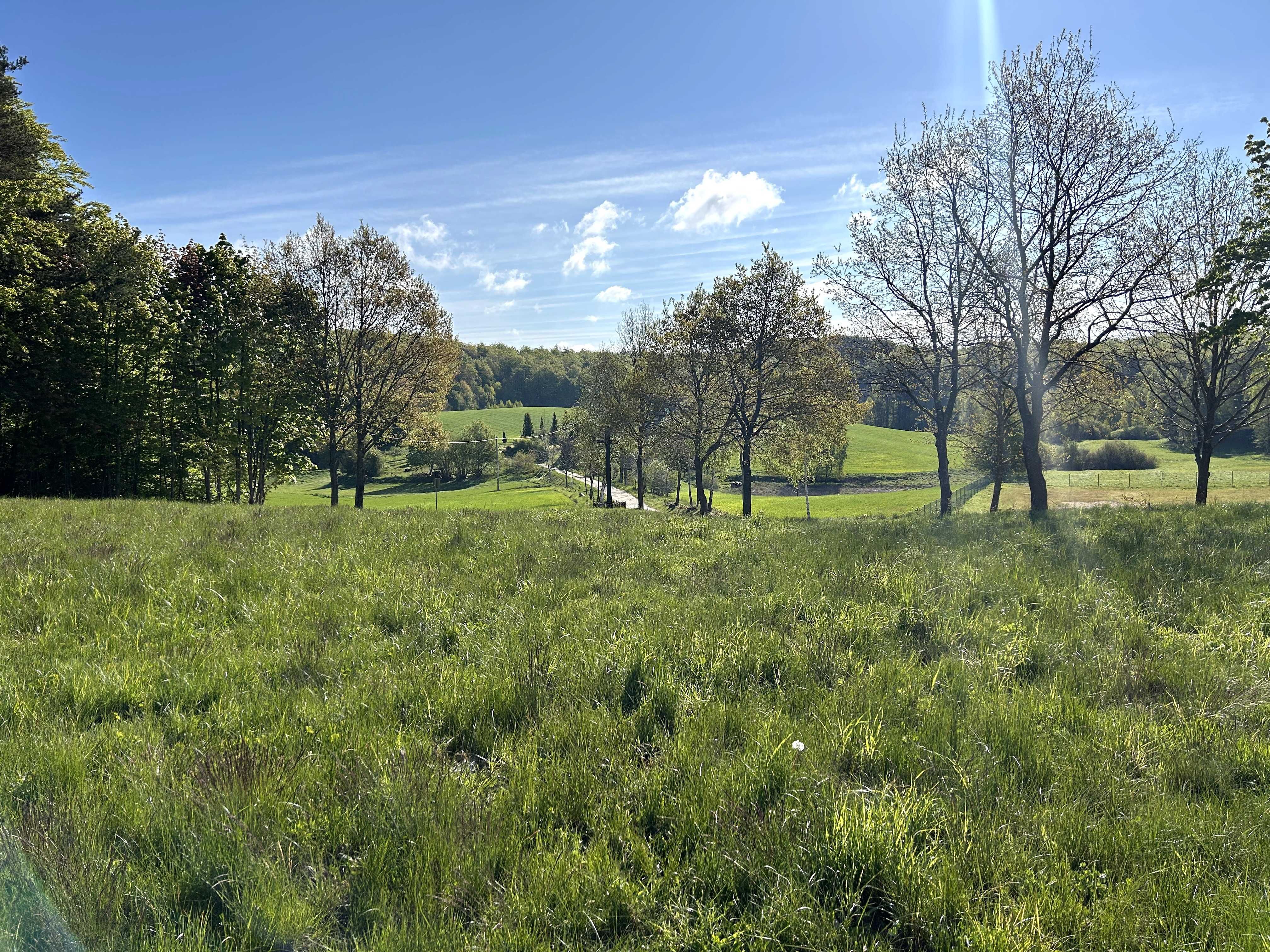 Działki Budowlane - Kaszuby - Wyjątkowe - Bezpośrednio!