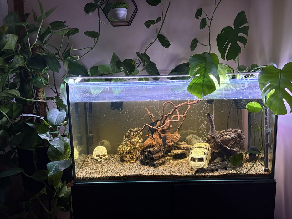 Akwarium 200l rybki szafka akcesoria