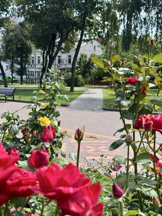 Продаж комерційного приміщення в самому центрі міста