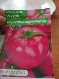 Sadzonki pomidorów malinowych