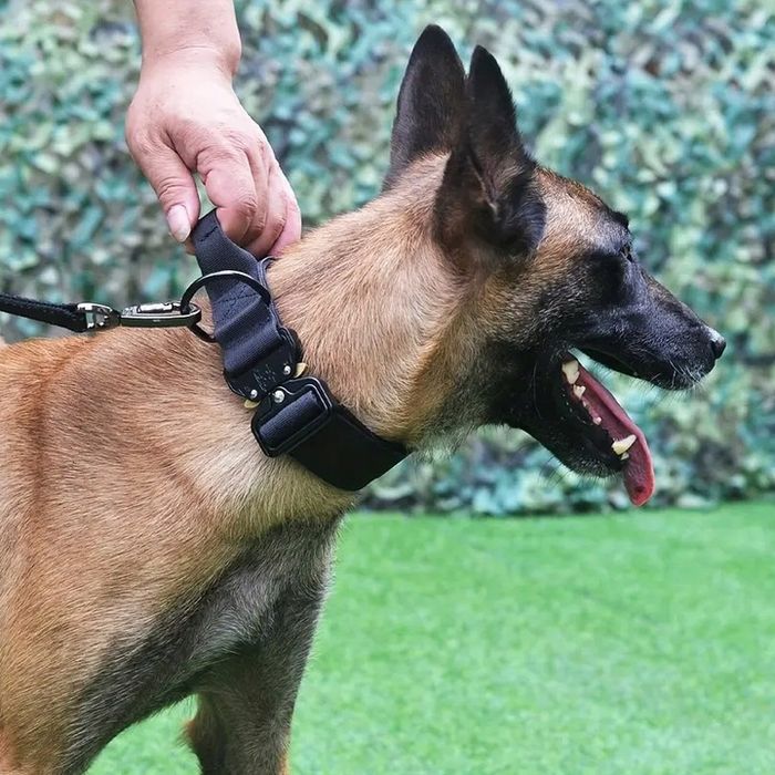 Mega Mocna Solidna Obroża Taktyczna Do Dużego Psa Metalowa Klamra 45-6