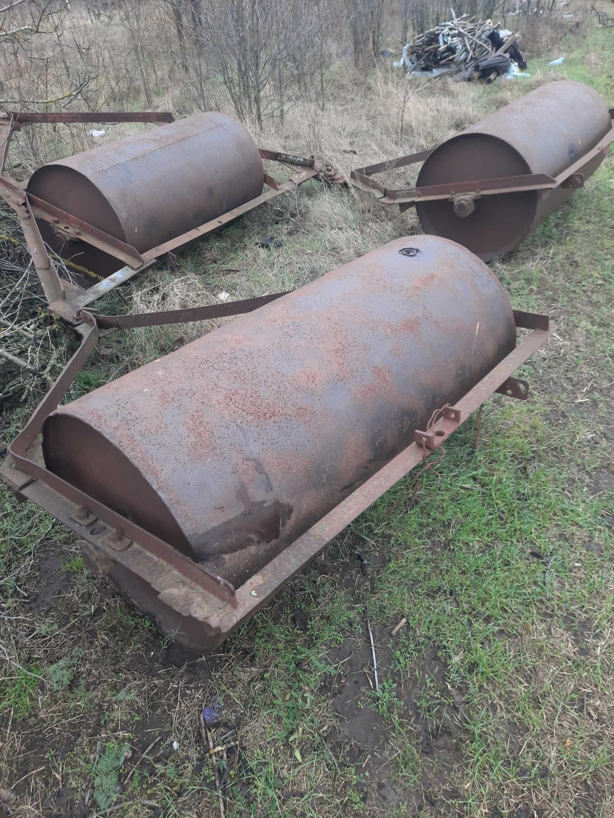 Продам котки гладкі 6 шт