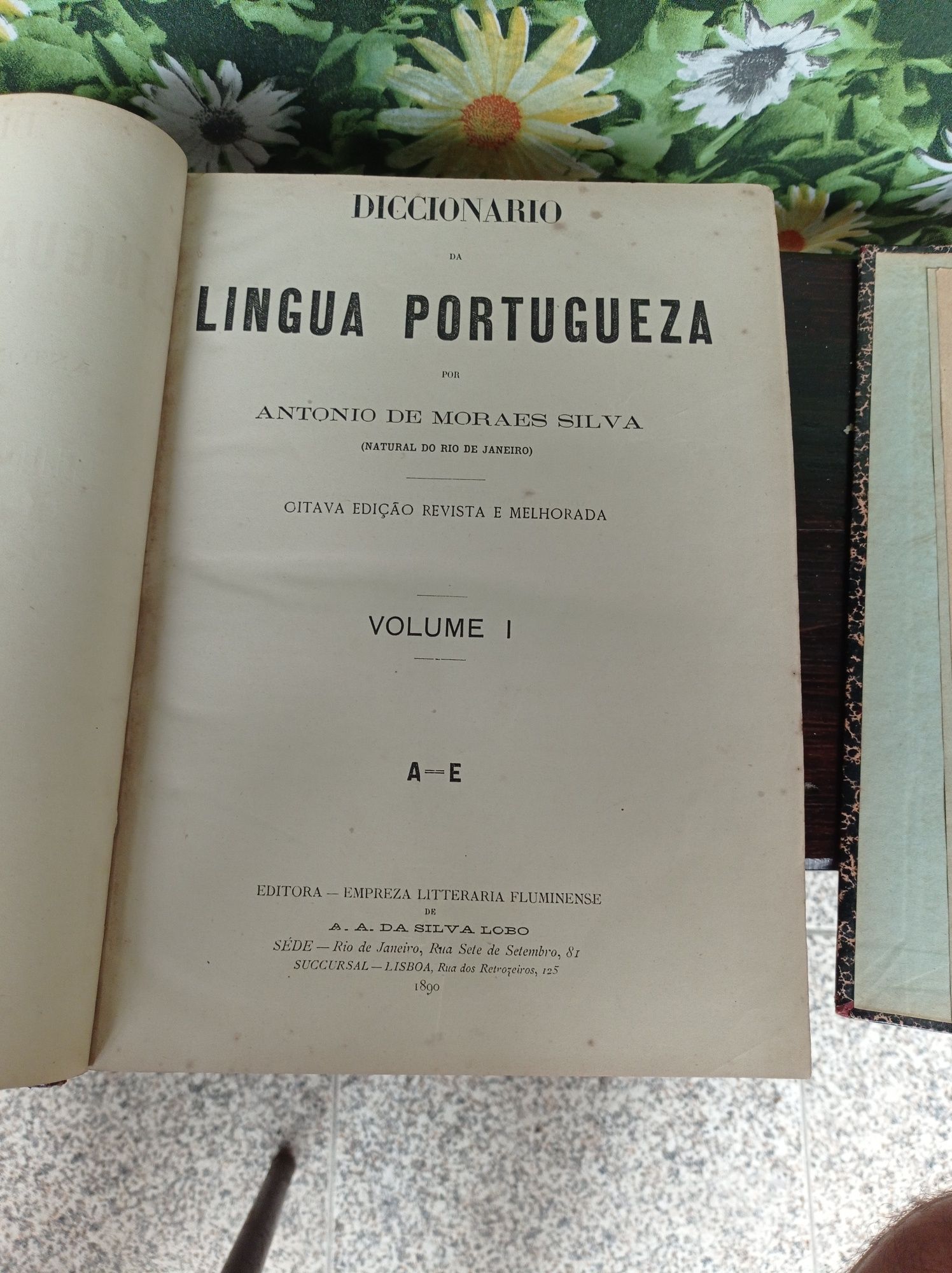 Dicionário da língua portuguesa
