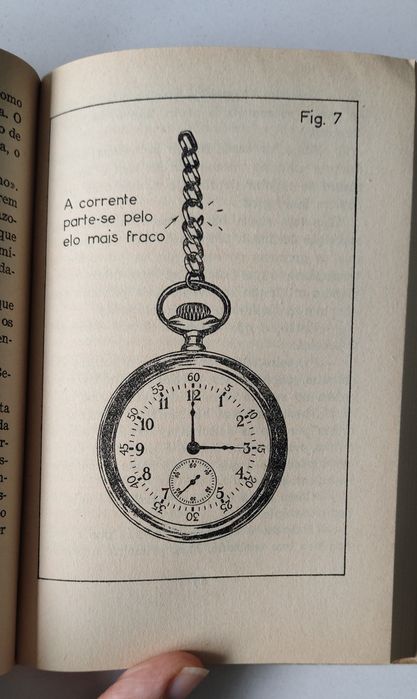A Horta, Francisco Dias Antunes