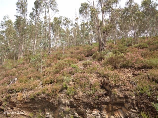 Terreno em Celorico de Basto