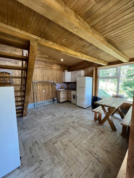 Відпочинок в Карпатах