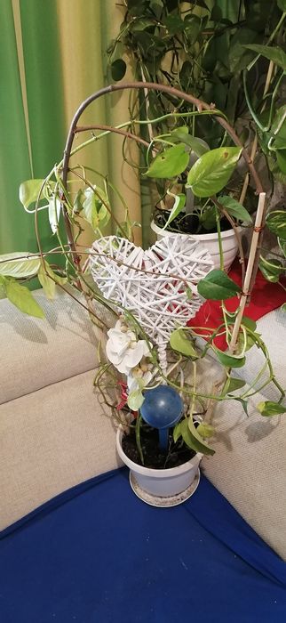 Wielka wyprzedaż garażowa