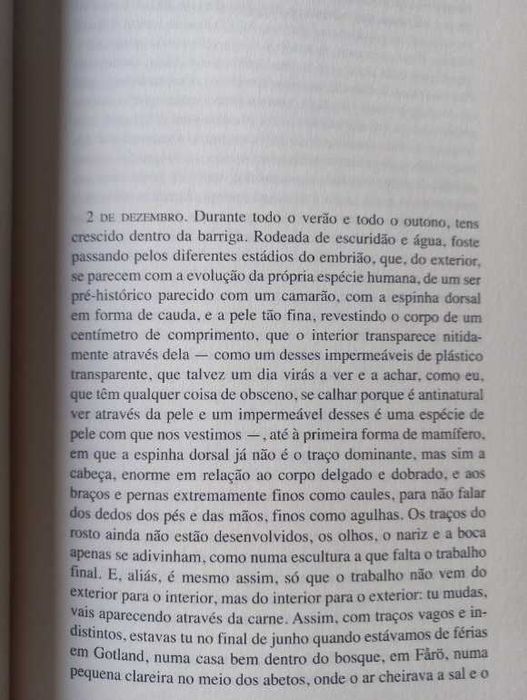 No Inverno - Karl Ove Knausgard