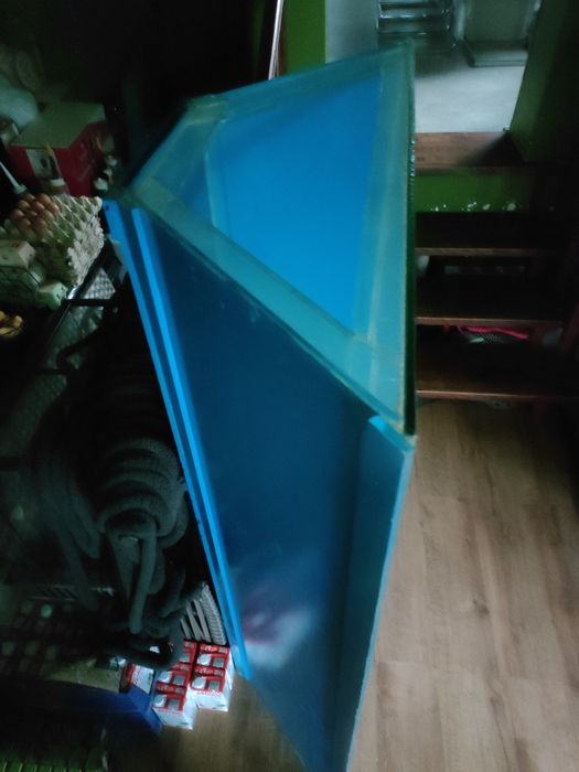 Akwarium oraz wapień Filipiński