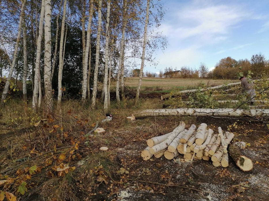 Usługa rębakiem / Wycinka średnich drzew / Oczyszczanie działek/rębak