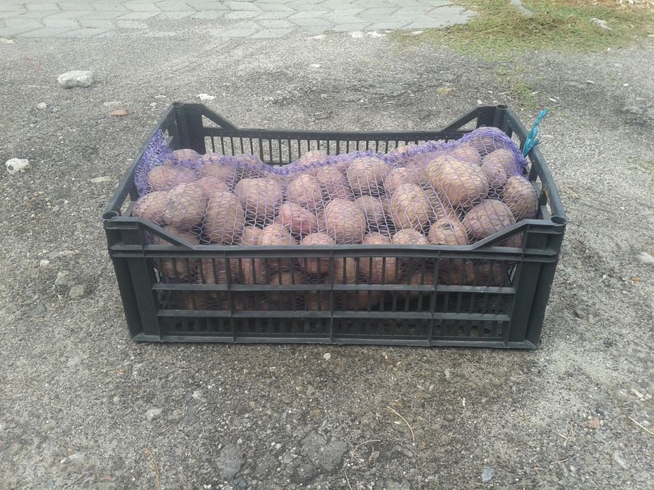 Пластиковый ящик контейнер для овощей