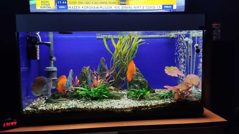 Akwarium 100x50x40-200l/pokrywa aluminiowa/oświetlenie