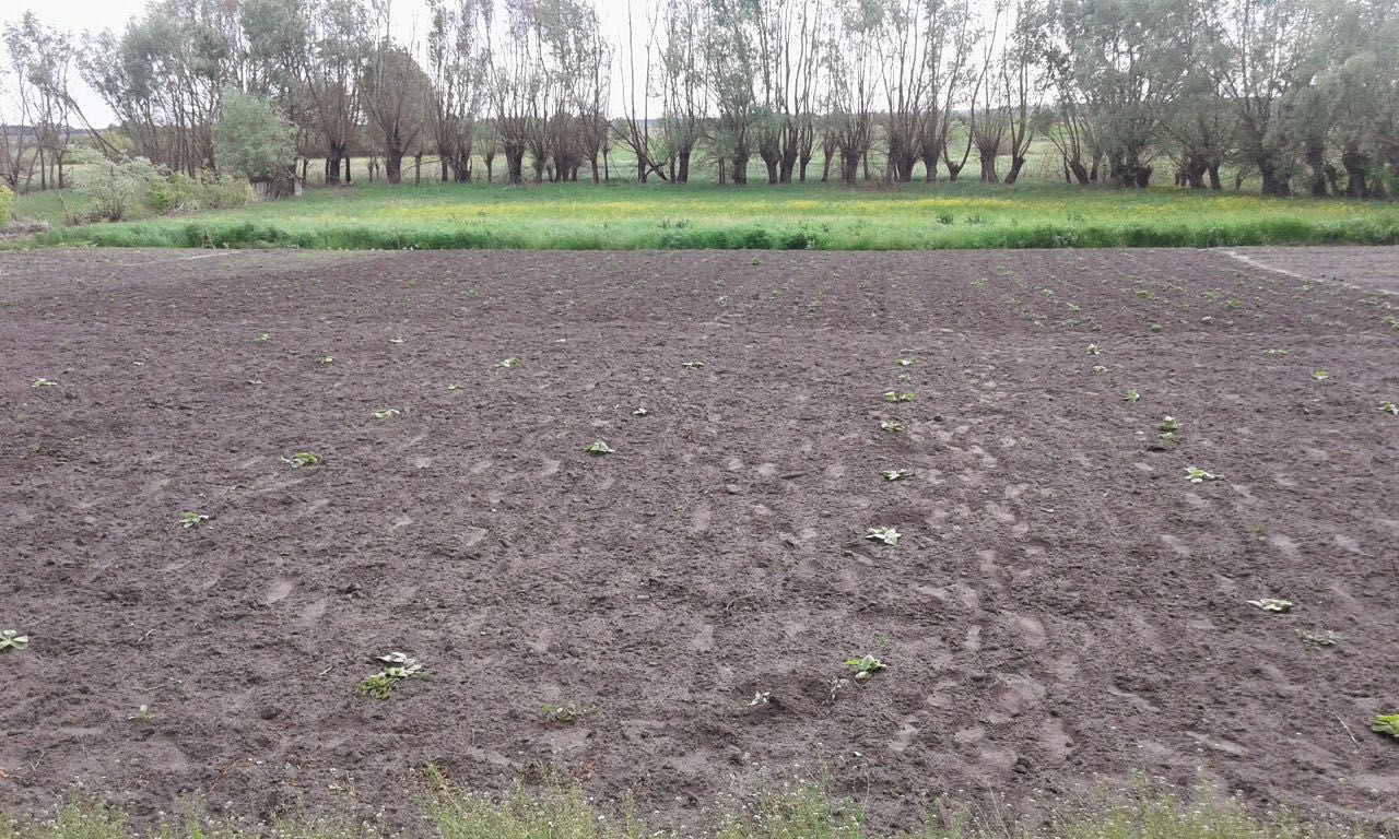 Будинок в с. Каленики, Решетилівський район, Полтавська обл.