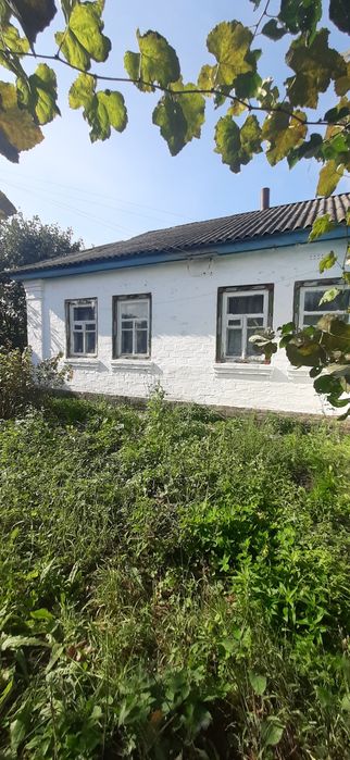 Пропоную гарний жилий будинок поблизу смт Козелець