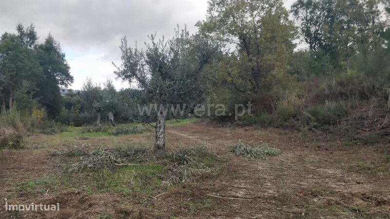 Terreno Rústico / Fundão, Póvoa da Atalaia