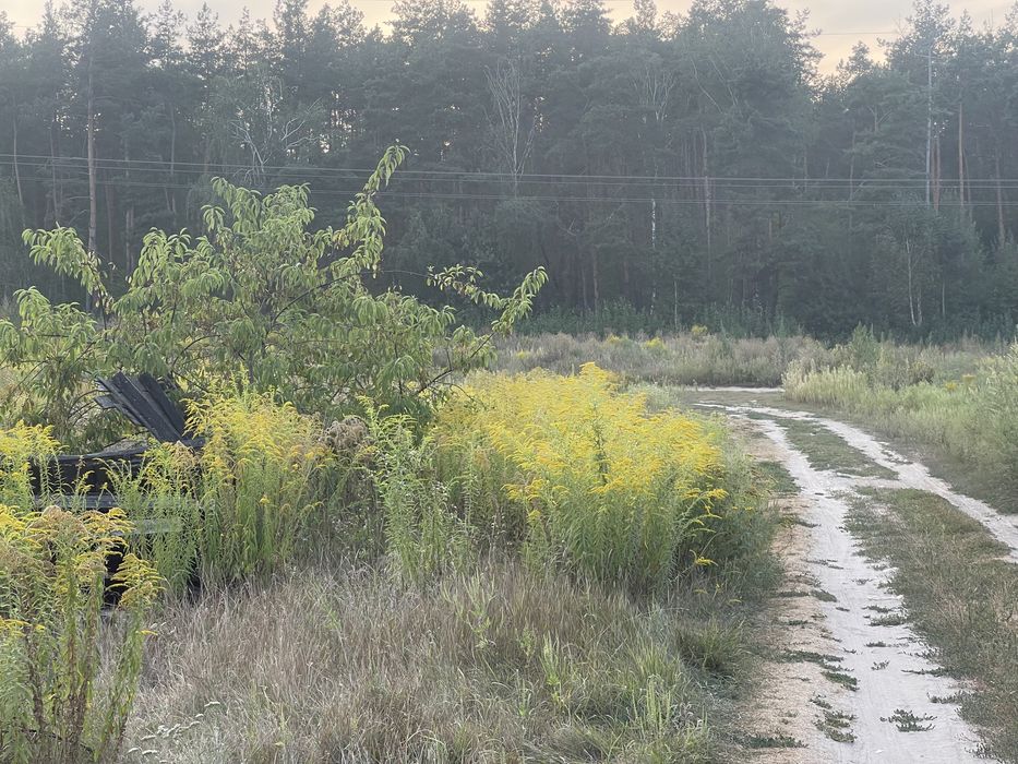 ЩАСЛИВЕ Продається Пейзажна Ділянка 15 соток вул. Соснова 70000$