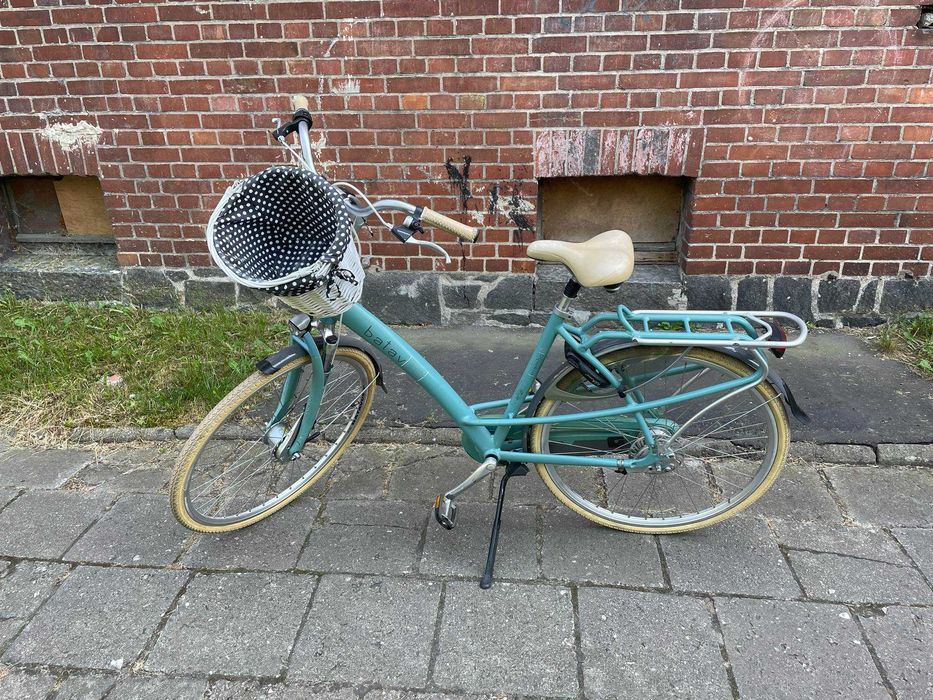 Rower Batavus Mambo Inspire