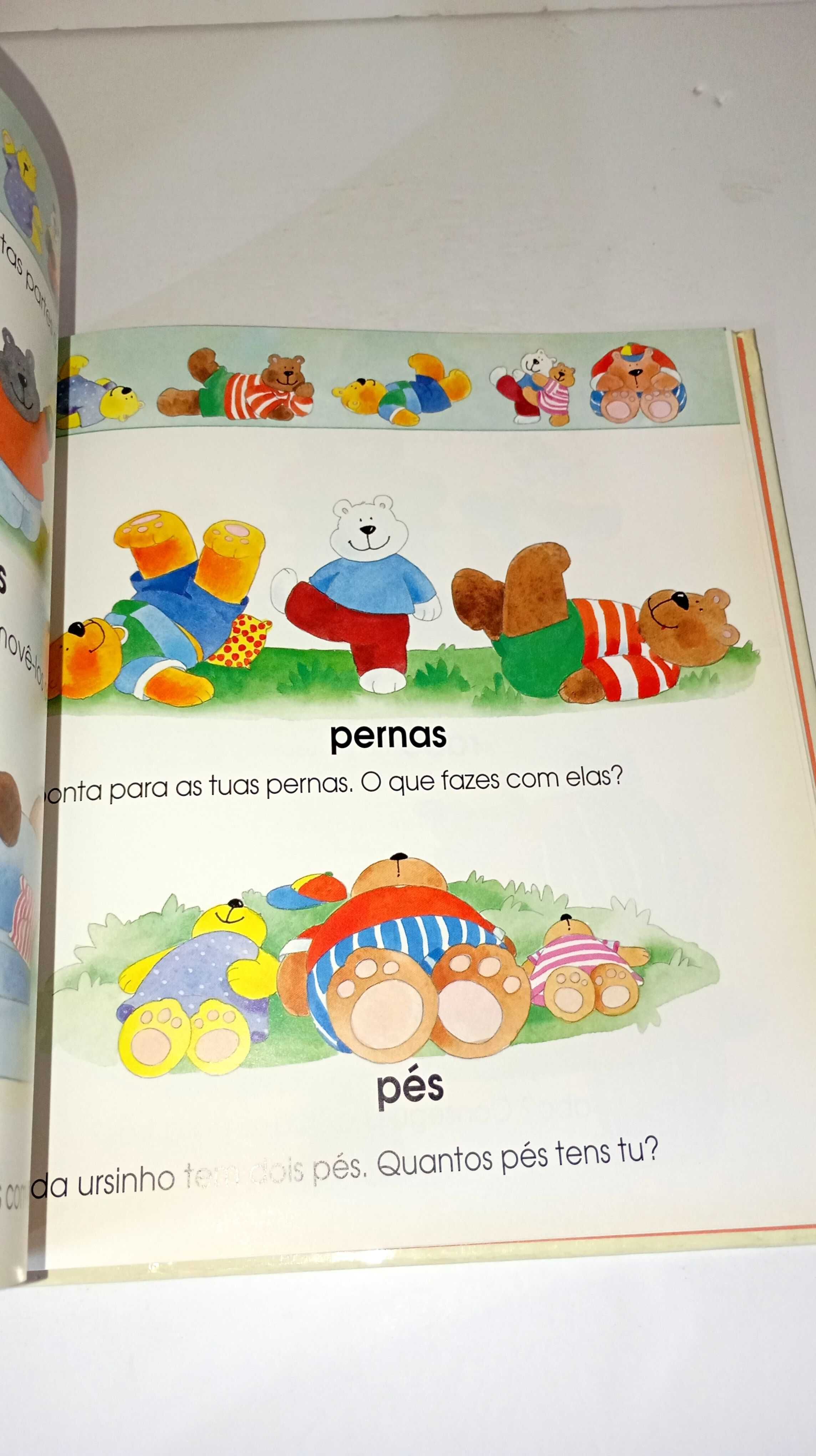 Grande livro dos Ursinhos